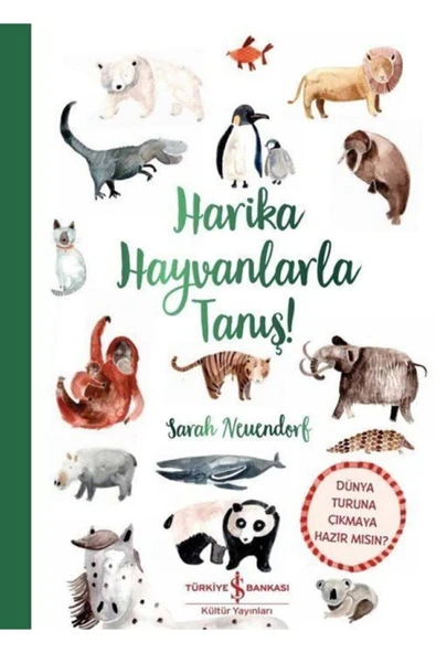 Harika Hayvanlarla Tanış! Eğitici Çocuk Masal/öykü Kitabı ürün görseli