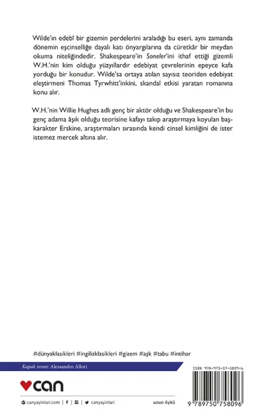 Bay W. H.' nin Portresi - Resim 3