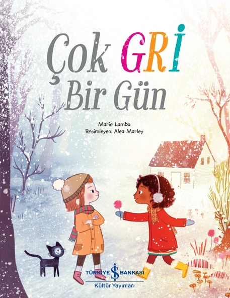 Çok Gri Bir Gün ürün görseli