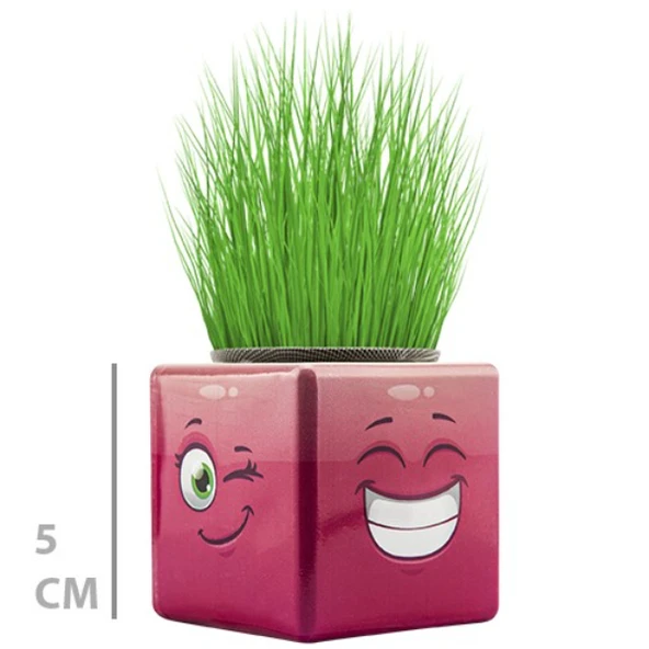 Çim Adam Mini Küp Emoji Figürlü 1 Adet - Resim 2