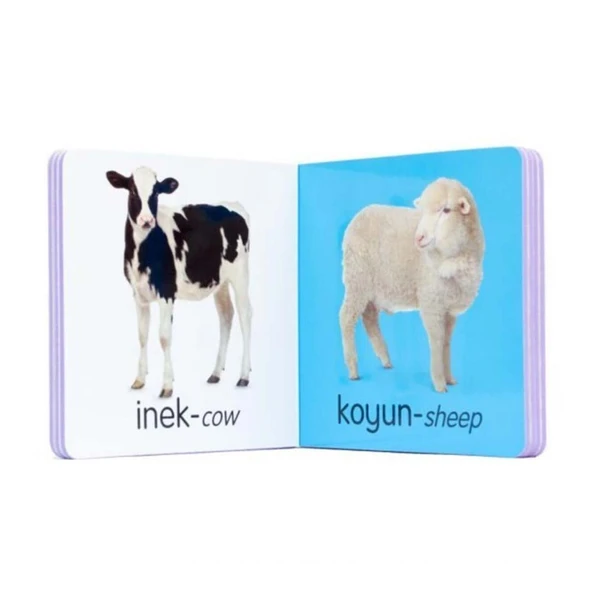 Babys First 4 Lü Takım Kutu - Resim 5