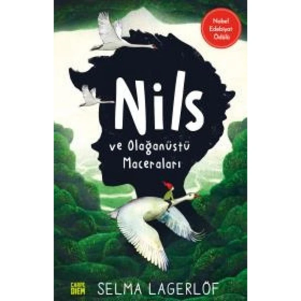 Carpedıem / Nils Ve Olağanüstü Maceraları ürün görseli