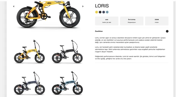 Ape Ryder Loris Elektrikli Bisiklet ürün görseli