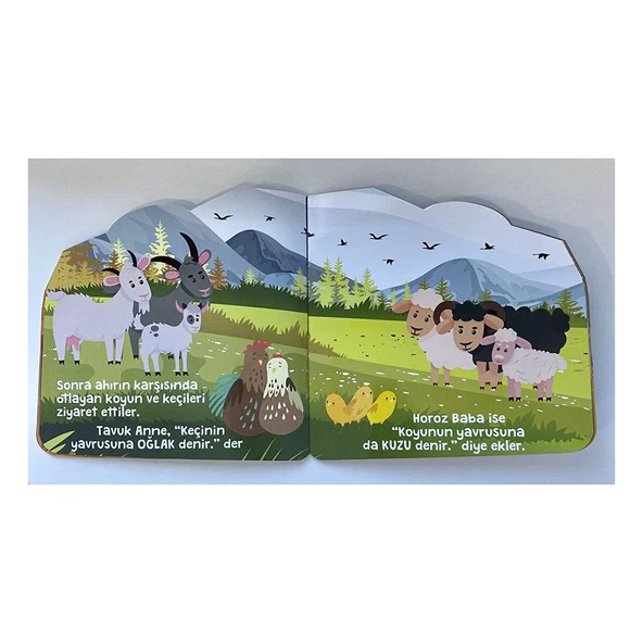 Afacan Civcivler Komşularıyla Tanışıyor! - Resim 2