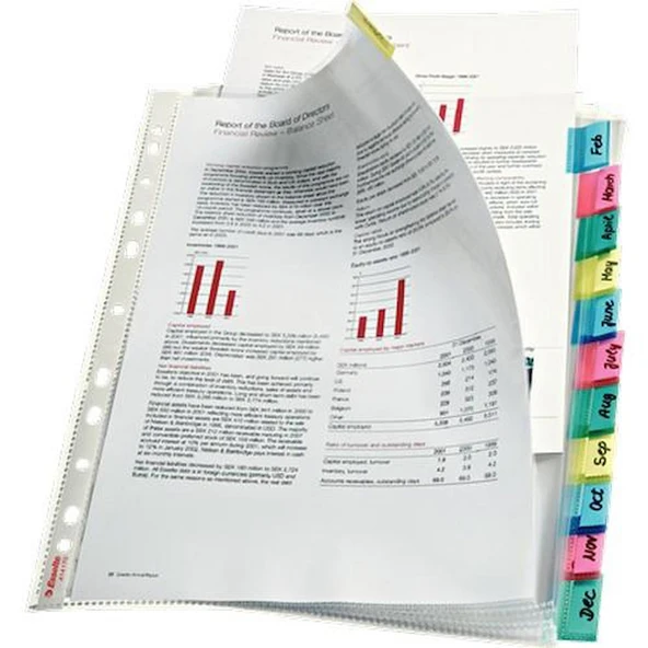 ESSELTE 414170 AYRAÇLI POŞET 12 Sayfa ürün görseli