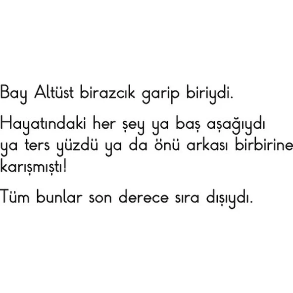 Bay Altüst - Resim 4