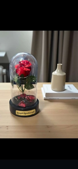 Fanusta Led Işıklı Sevgili Öğretmenim Temalı Biblo Öğretmenler Gününe Anlam Katan Özel Hediye 20 CM - Resim 4