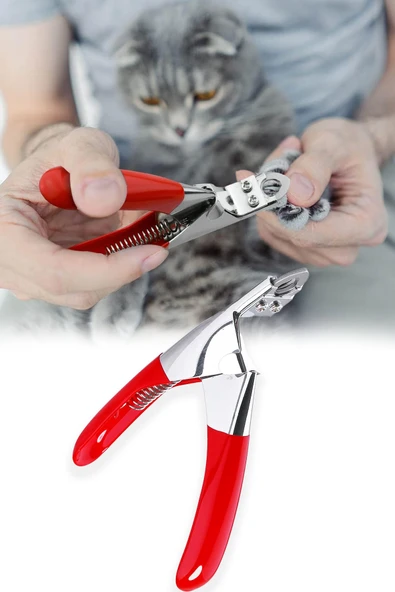 Mucit Home Kedi Köpek Tırnak Makası Kedi Köpek Pati Bakım Kuş Tavşan Tırnak Kesim Makası ürün görseli