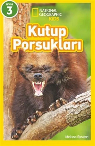 Kutup Porsukları - National Geographic Kids ürün görseli