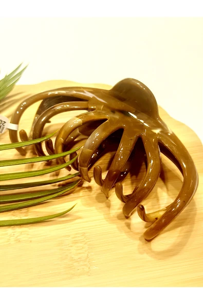 Monalisa Home 10 cm Lüks Gösterişli  Parlak Renkli Kıstırma Toka ürün görseli