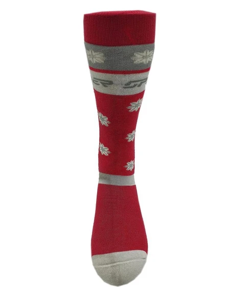 Spyder Pro Liner Erkek Çorap SPY2806 - Resim 3