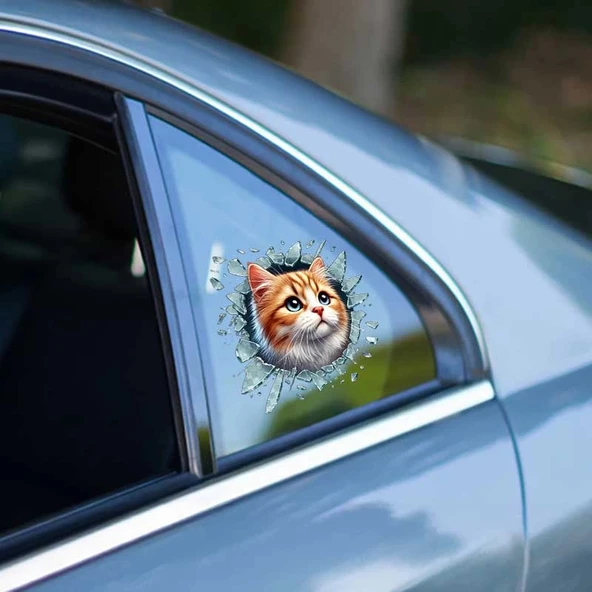 Fulcar Sarman Araç Stickerı ürün görseli