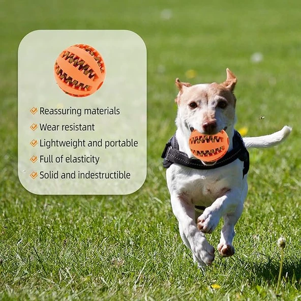 Mama Hazneli Köpek Eğitim Ve Oyun Topu - Resim 2