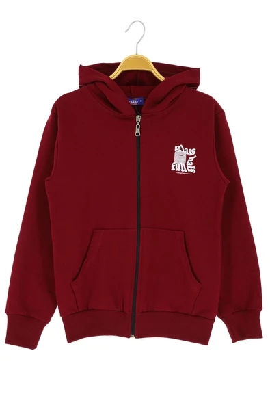 Erkek çocuk hırka 2 iplik şordonlu baskılı kapüşonlu - 10