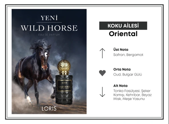 Wild Horse Erkek Parfüm EDP 50 ML | Gücün ve Zarafetin Yansıması - 4