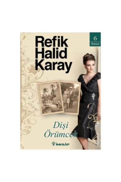 İnkılab Yayınları Dişi Örümcek