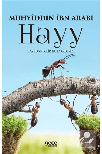 Gece Kitaplığı Hayy