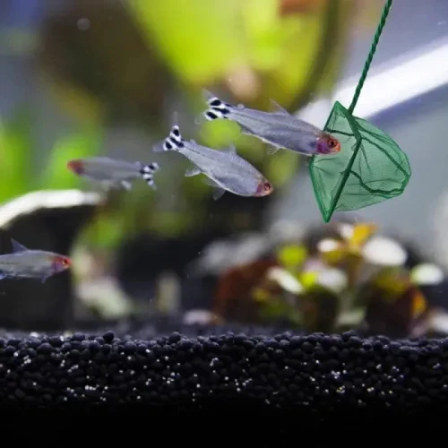 Akvaryum Balık Kepçesi – 12 cm ürün görseli