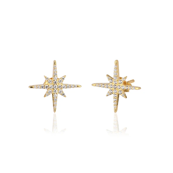 EMILIANO JEWELLERY 925 AYAR GÜMÜŞ ZİRKON TAŞLI YILDIZ KÜPE