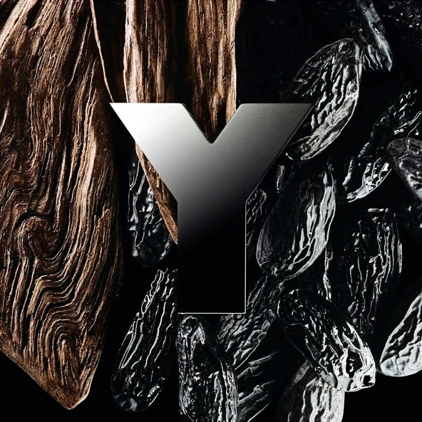 Yves Saint Laurent Y EDP 200 ml Erkek Parfüm - Resim 3