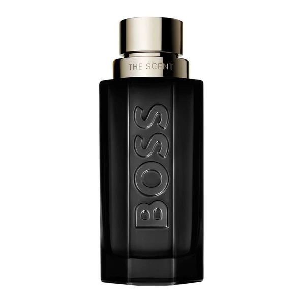 Hugo Boss The Scent Magnetic EDP 100 ml Erkek Parfümü ürün görseli
