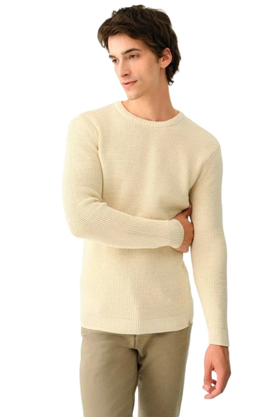 Erkek Triko Kazak  LF2036900 ürün görseli 1