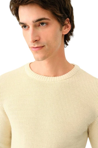 Erkek Triko Kazak  LF2036900 - Resim 4