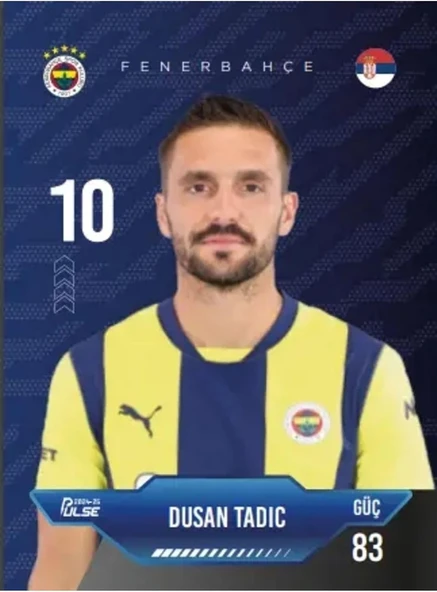 Lisanslı Fenerbahçe Pulse Futbolcu Kartları 2024-25 - 12 Kart - Resim 5