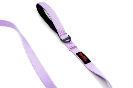 Tailpetz Match Leash Köpek Gezdirme Kayışı Lila Small ürün görseli 1