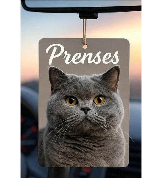 Kişiye Özel Oto Kokusu ( 2 adet ) - Resim 5