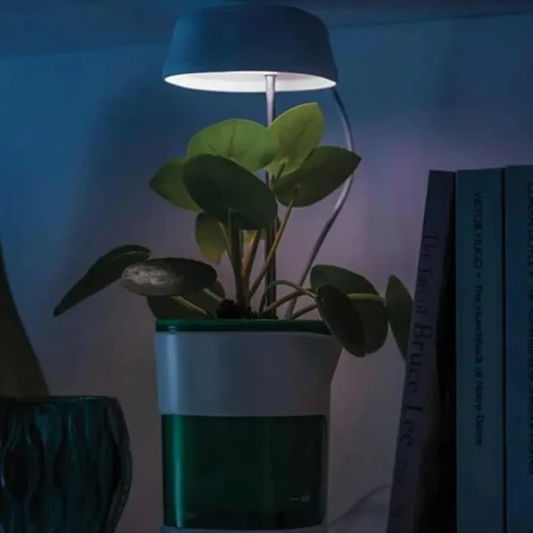 Hızlı Bitki Yetiştirme Saksısı ürün görseli