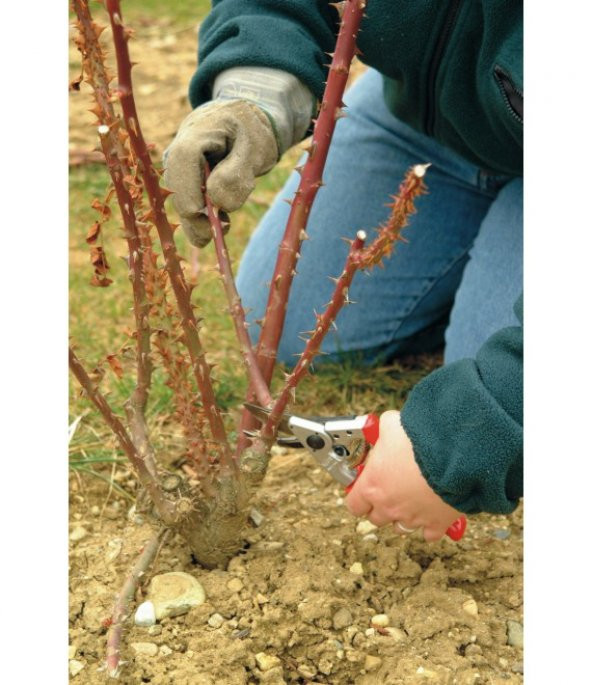 Felco 10 Budama Makası By-pas Sol El - 2