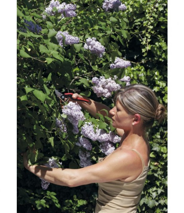 Felco 160L Budama Makası By-pas Sağ El - 2