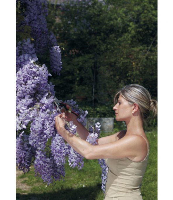 Felco 160L Budama Makası By-pas Sağ El - 3