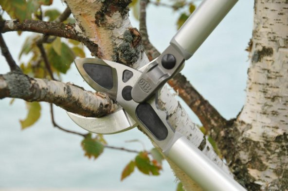 Felco 231 Kalın Dal Budama Makası - 4