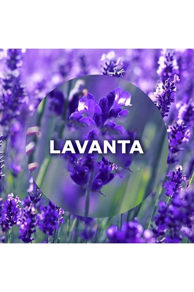 Air Wick Elektrikli Oda Kokusu Yedek Şişe Lavanta - Esansiyel Yağlar Içerir - 3