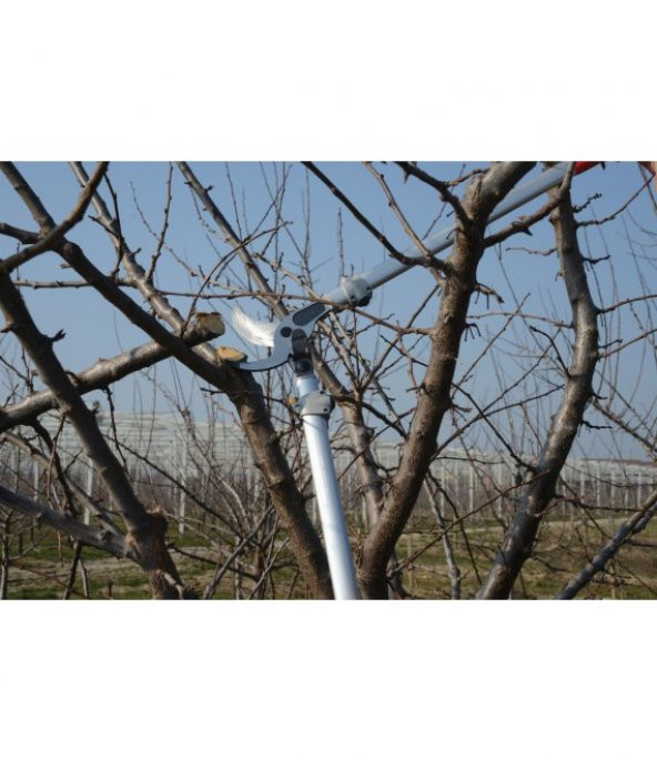 Felco 220 Kalın Dal Budama Makası - 2