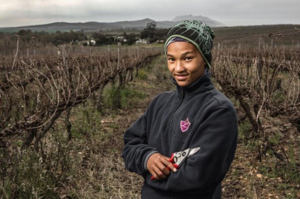 Felco 6 Budama Makası By-pas Sağ El - 4