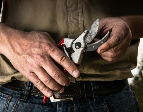 Felco 2 Budama Makası By-pas Sağ El - 4