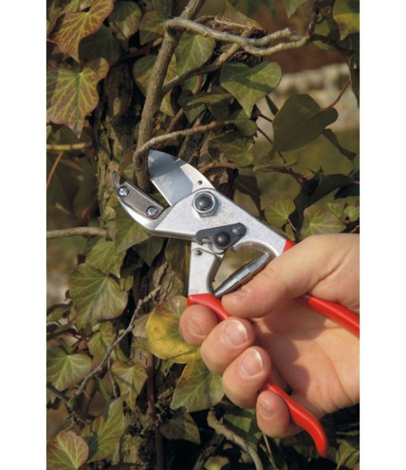 Felco 31 Budama Makası Örs Sağ-Sol El - 3