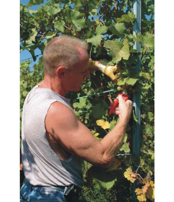 Felco 310 Meyve Toplama MakasıSağ-Sol El - 2