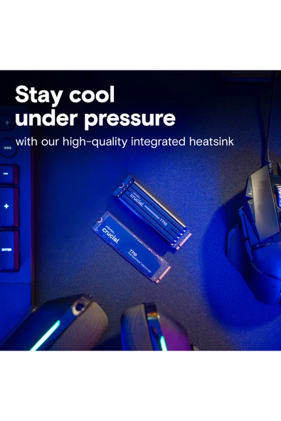 Crucial T710 2TB PCIe SSD Gen5 NVMe M.2 Soğutuculu CT2000T710SSD5 - 4