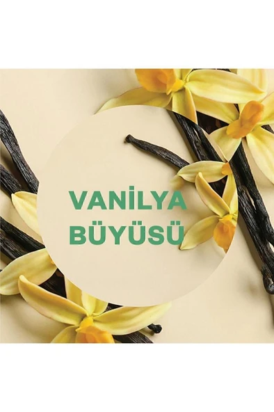 Air Wick Elektrikli Oda Kokusu Yedek Şişe Vanilya Büyüsü - Esansiyel Yağlar Içerir x 6 - 3