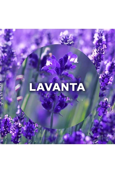 Air Wick Elektrikli Oda Kokusu Yedek Şişe Lavanta - Esansiyel Yağlar Içerir x 6 - 2