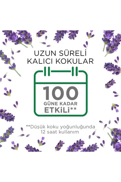 Air Wick Elektrikli Oda Kokusu Yedek Şişe Lavanta - Esansiyel Yağlar Içerir x 2 - 6