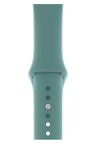 KRETON KRETON Apple Watch Serisi 1 2 3 4 5 6 7 Se 8 Uyumlu Kordon 38mm/40mm/41mm Jel Silikon Spor Kayış - Resim 3