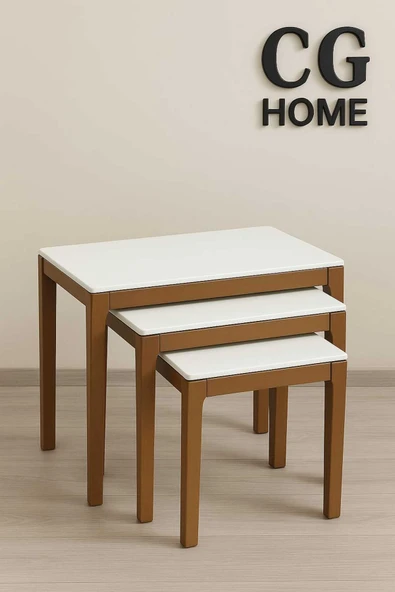 CG HOME Mono Zigon Sehpa Üçlü Lüx %100 Ağaç Lake Boyalı Sehpa - Resim 3