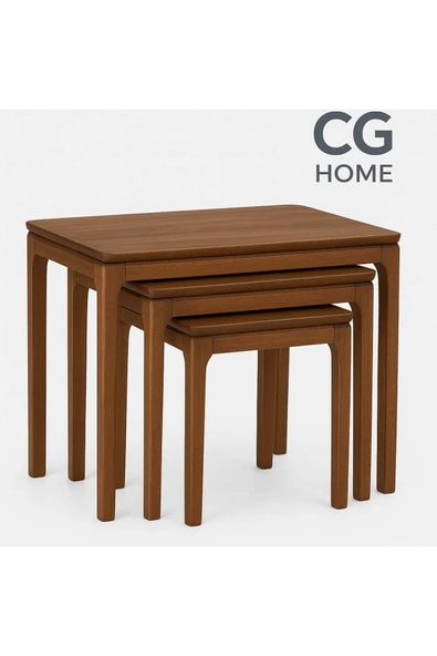 CG HOME Mono Zigon Sehpa Üçlü Lüx %100 Ağaç Lake Boyalı Sehpa - Resim 3