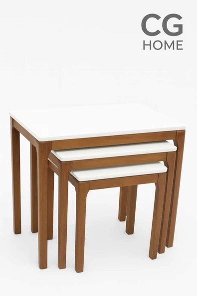 CG HOME Mono Zigon Sehpa Üçlü Lüx %100 Ağaç Lake Boyalı Sehpa - Resim 2