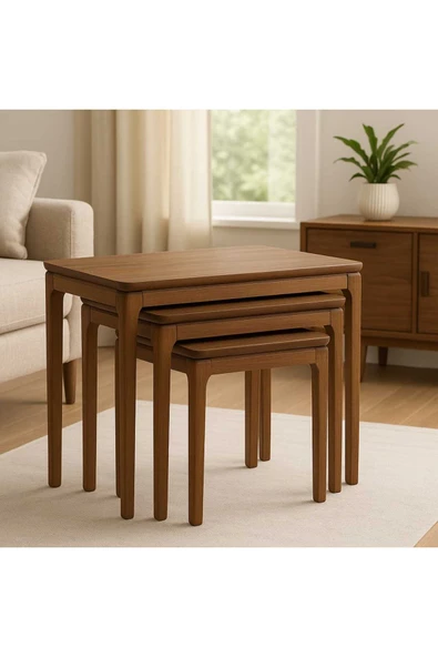 CG HOME Mono Zigon Sehpa Üçlü Lüx %100 Ağaç Lake Boyalı Sehpa - Resim 2